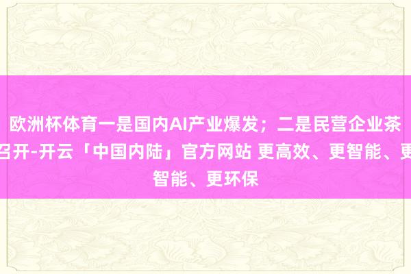 欧洲杯体育一是国内AI产业爆发；二是民营企业茶话会召开-开云「中国内陆」官方网站 更高效、更智能、更环保