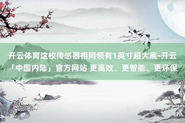 开云体育这枚传感器相同领有1英寸超大底-开云「中国内陆」官方网站 更高效、更智能、更环保