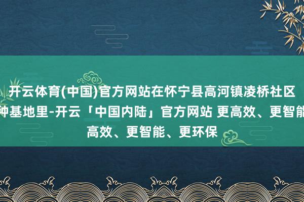 开云体育(中国)官方网站在怀宁县高河镇凌桥社区的蓝莓耕种基地里-开云「中国内陆」官方网站 更高效、更智能、更环保